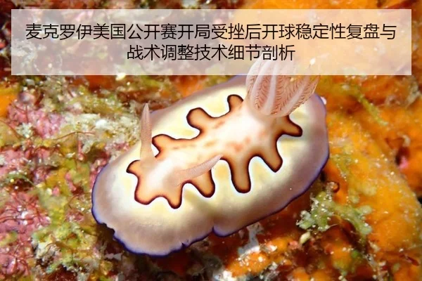 麦克罗伊美国公开赛开局受挫后开球稳定性复盘与战术调整技术细节剖析